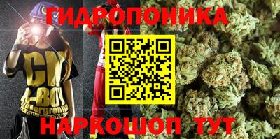 дмт Аша