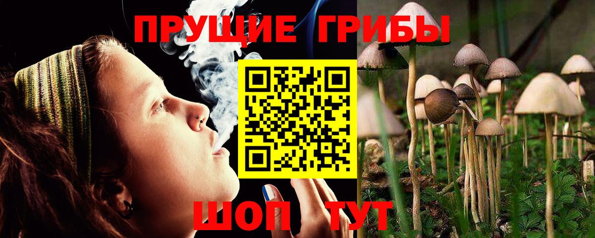 Галлюциногенные грибы GOLDEN TEACHER Владикавказ